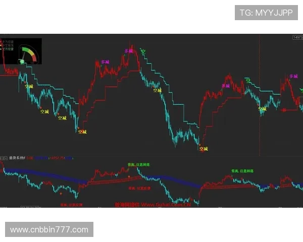 全面解析bbin包网的玩法与技巧帮助新手快速入门实现稳健盈利